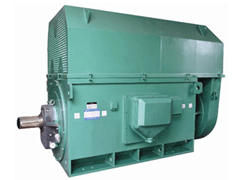 隆阳YKK系列高压电机生产厂家